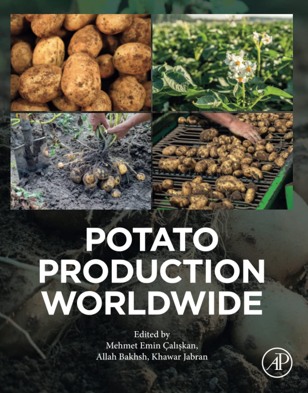 Potato Production Worldwide