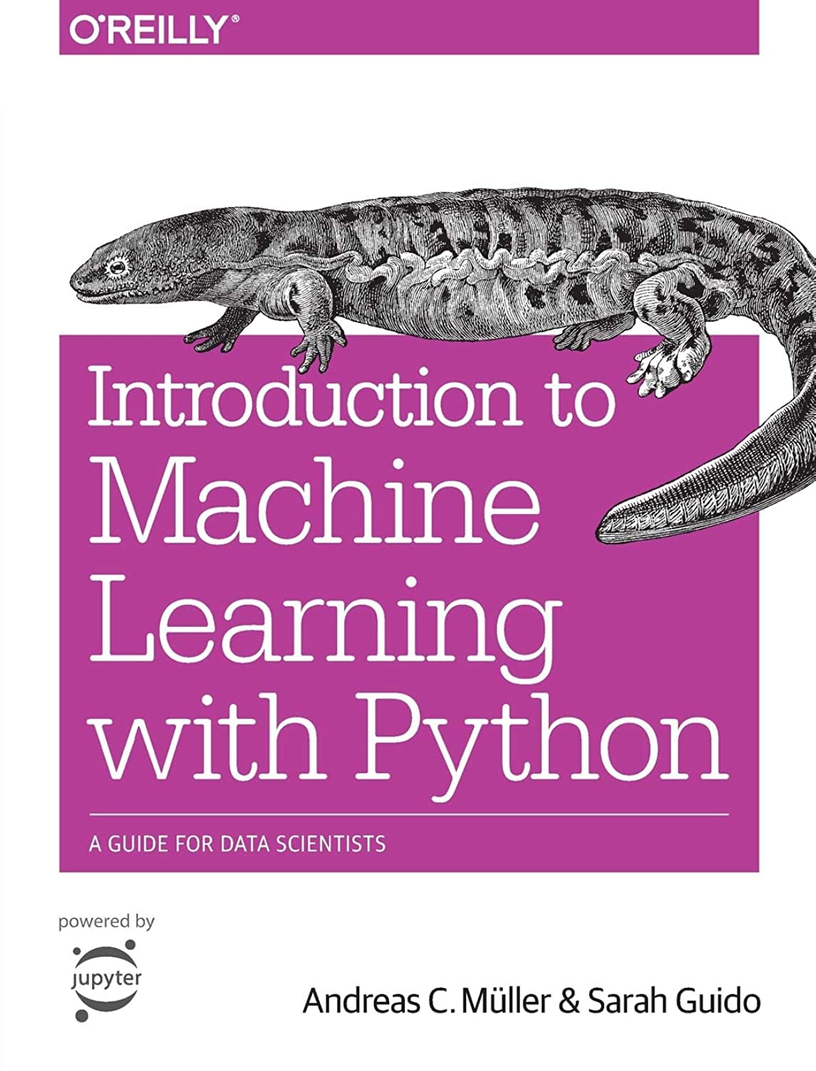 Introduction to Machine Learning with Python: A Guide for Data Scientist