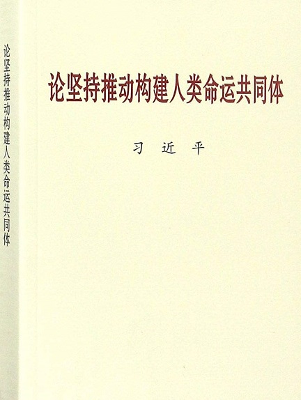On Promoting the Building of A Community with A Shared Future for Mankind