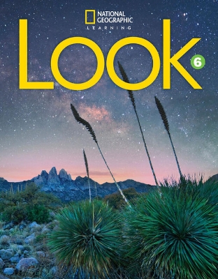LOOK 6 SB ( + SPARK) AMER. ED - MARY CHARRINGTON