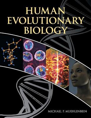 HUMAN EVOLUTIONARY BIOLOGY - MICHAEL P. MUEHLENBEIN