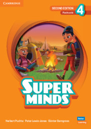 SUPER MINDS 4 FLASHCARDS 2ND ED - HERBERT PUCHTA-PETER LEWIS