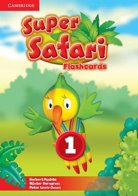 SUPER SAFARI 1 FLASHCARDS - HERBERT PUCHTA-GUNTER GERNGROSS-