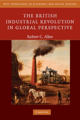 THE BRITISH INDUSTRIAL REVOLUTION IN GLOBAL PERSPECTIVE - RO