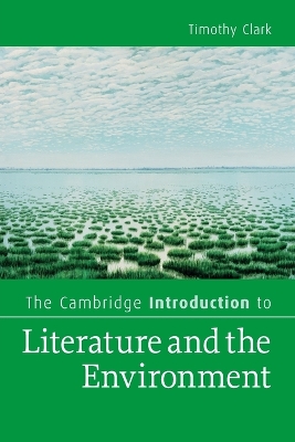 THE CAMBRIDGE INTRODUCTION TO LITERATURE - TIMOTHY CLARK