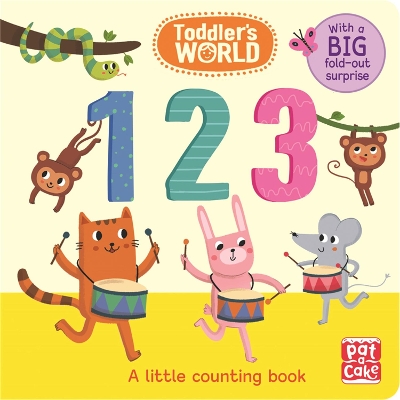 123: A LITTLE COUNTING BOARD BOOK WITH A FOLD-OUT SURPRISE (