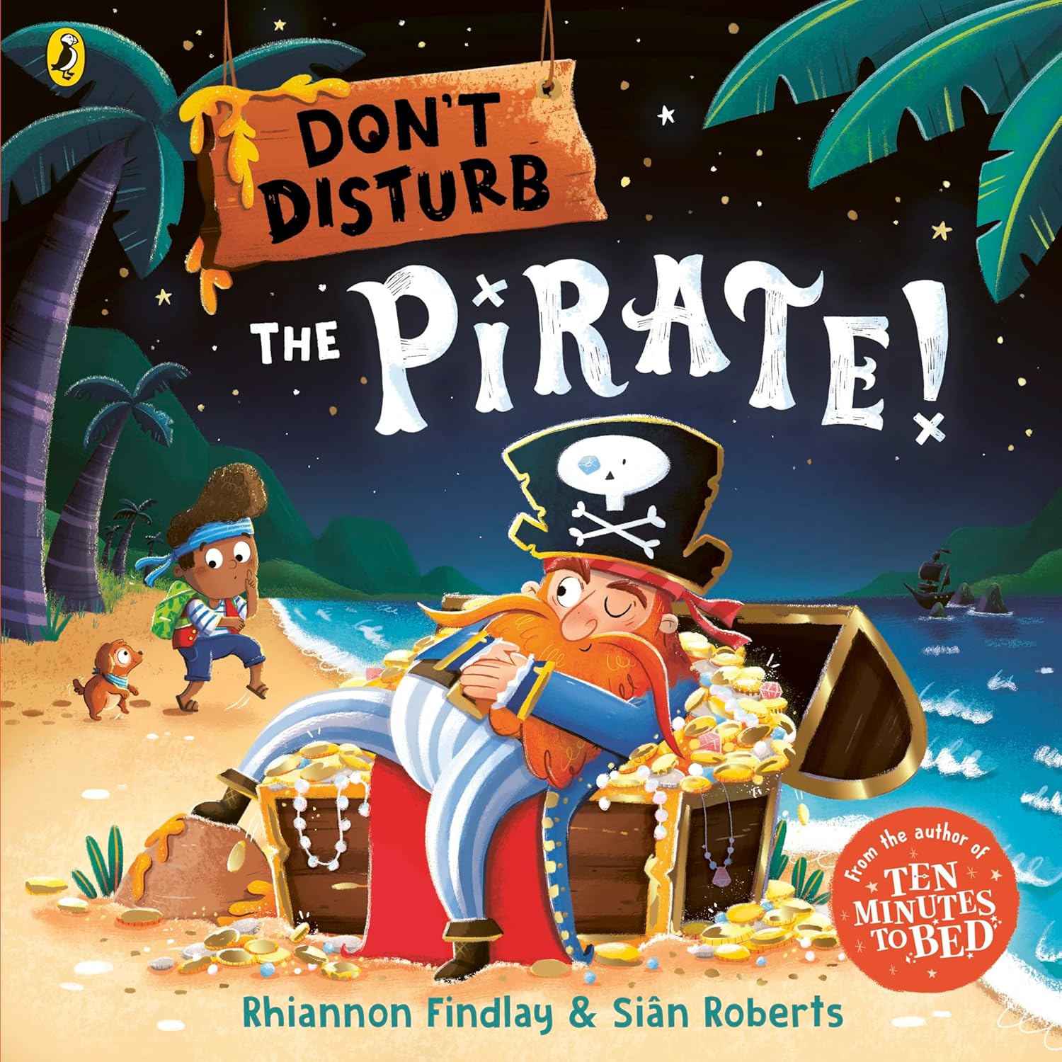 Don't Disturb The Pirate!
