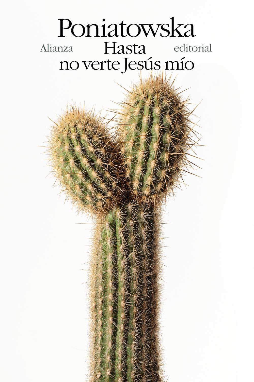 Hasta no Verte Jesus Mio