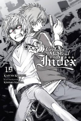 A CERTAIN MAGICAL INDEX VOL. 19 (LIGHT NOVEL) - KIYOTAKA HAI