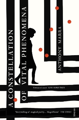 A CONSTELLATION OF VITAL PHENOMENA PB - ANTHONY MARRA
