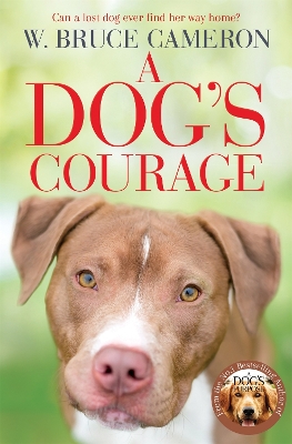A DOGS COURAGE - W. BRUCE CAMERON