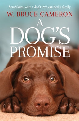 A DOGS PROMISE - W. BRUCE CAMERON