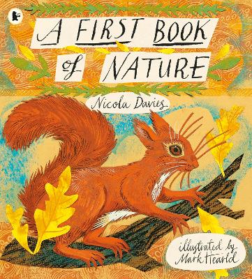 A FIRST BOOK OF NATURE PB - NICOLA DAVIES-MARK HEARLD