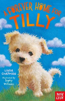 A FOREVER HOME FOR TILLY PB - LINDA CHAPMAN-SOPHY WILLIAMS