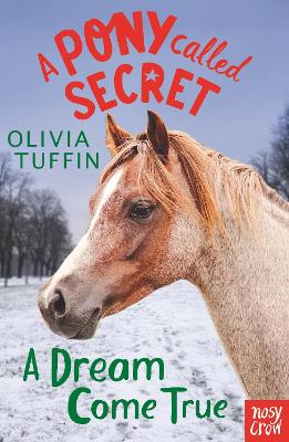 A PONY CALLED SECRET : A DREAM COME TRUE PB - OLIVIA TUFFIN