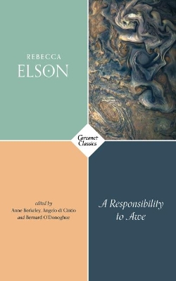A RESPONSIBILITY TO AWE PB - REBECCA ELSON-ANNE BERKELEY-ANG