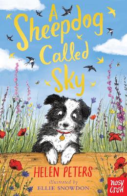 A SHEEPDOG CALLED SKY PB - HELEN PETERS-ELLIE SNOWDON