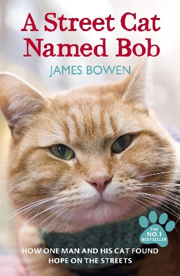 A STREET CAT NAMED BOB PB A FORMAT - JAMES BOWEN