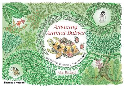 AMAZING-ANIMAL-BOOKS-HC-AINA-BESTARD.jpg AMAZING ANIMAL BOOKS HC - AINA BESTARD