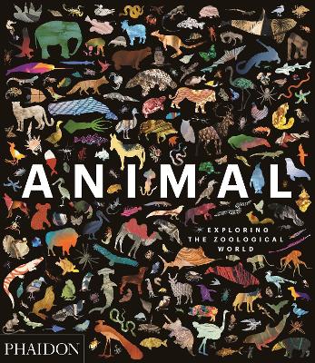 ANIMAL: EXPLORING THE ZOOLOGICAL WORLD HC - PHAIDON EDITORS-