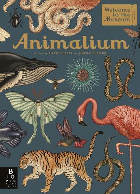 ANIMALIUM WELCOME TO THE MUSEUM HC - JENNY BROOM-KATIE SCOTT