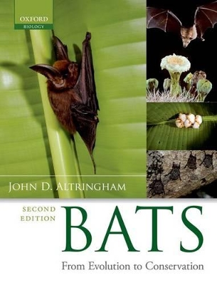 BATS:FROM EVOLUTION TO CONSERVATION PB - JOHN D. ALTRINGHAM