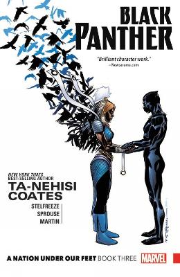 BLACK PANTHER: A NATION UNDER OUR FEET BOOK 3   PB - TA-NEHI