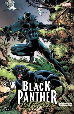 BLACK PANTHER: PANTHERS QUEST - DON MCGREGOR-GENE COLAN