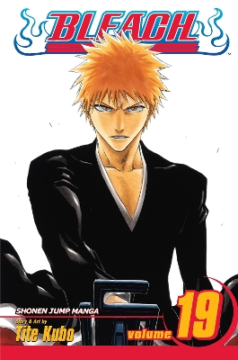 BLEACH 19  PA - TITE KUBO