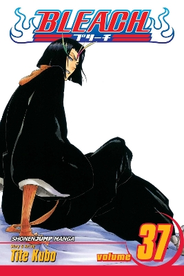 BLEACH 37  PA - TITE KUBO