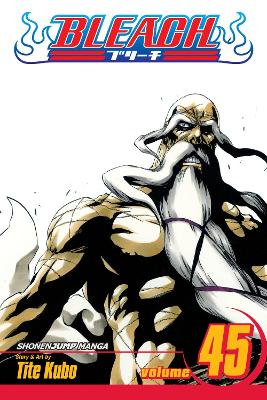 BLEACH 45  PA - TITE KUBO