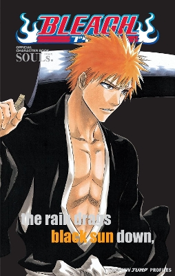 BLEACH SOULS PA - TITE KUBO