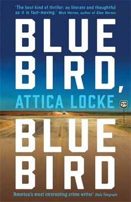 BLUEBIRD BLUEBIRD PB - ATTICA LOCKE