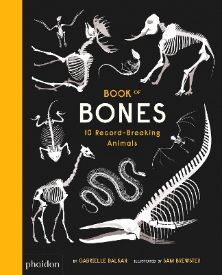 BOOK OF BONES : 10 RECORD BREAKING ANIMALS HC - SAM BREWSTER