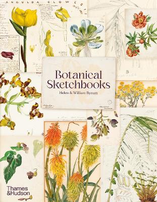 BOTANICAL SKETCHBOOKS - HELEN BYNUM-WILLIAM BYNUM