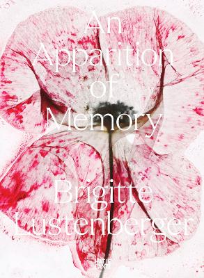 BRIGITTE LUSTENBERGER: AN APPARITION OF MEMORY HC - NADINE B