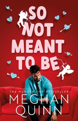 CANE BROTHERS 2: SO NOT MEANT TO BE - MEGHAN QUINN
