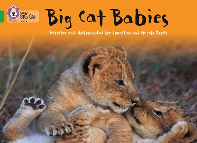 COLLINS BIG CAT : BIG CAT BABIES BAND 05/GREEN PB - JONATHAN