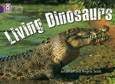COLLINS BIG CAT : LIVING DINOSAURS BAND 08/PURPLE PB - JONAT