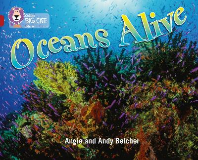 COLLINS BIG CAT : OCEANS ALIVE BAND 14/RUBY PHASE 5 BK. 18 P