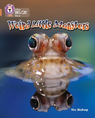 COLLINS BIG CAT : WEIRD LITTLE MONSTERS BAND 12/COPPER: BAND