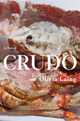 CRUDO - OLIVIA LAING