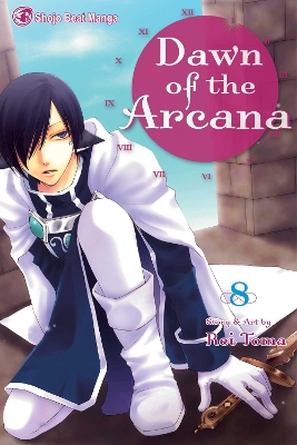 DAWN OF THE ARCANA VOL. 08 PA - REI TOMA