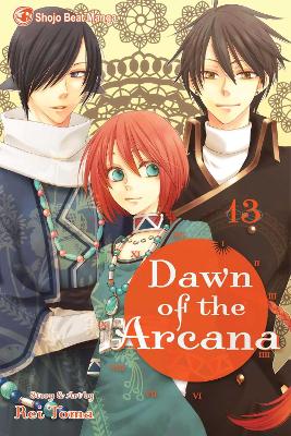 DAWN OF THE ARCANA VOL. 13 PA - REI TOMA
