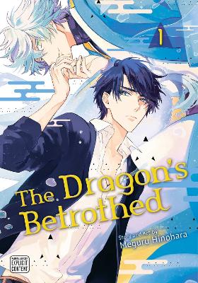 DRAGONS BETROTHED VOL. 1 PA - MEGURU HINOHARA