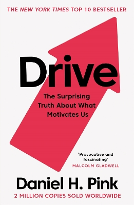 DRIVE THE SURPRISING TRUTH ABOUT WHAT MOTIVATES US PB - DANI