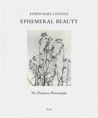 EDWIN HALE LINCOLN: EPHEMERAL BEAUTY: THE PLATINUM PHOTOGRAP