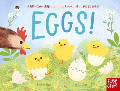EGGS! : A LIFT-THE-FLAP COUNTING BOOK FULL OF SURPRISES! HC