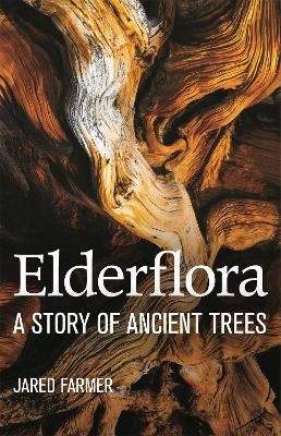 ELDERFLORA - JARED FARMER