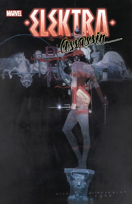 ELEKTRA: ASSASSIN     PB - FRANK MILLER-BILL SIENKIEWICZ